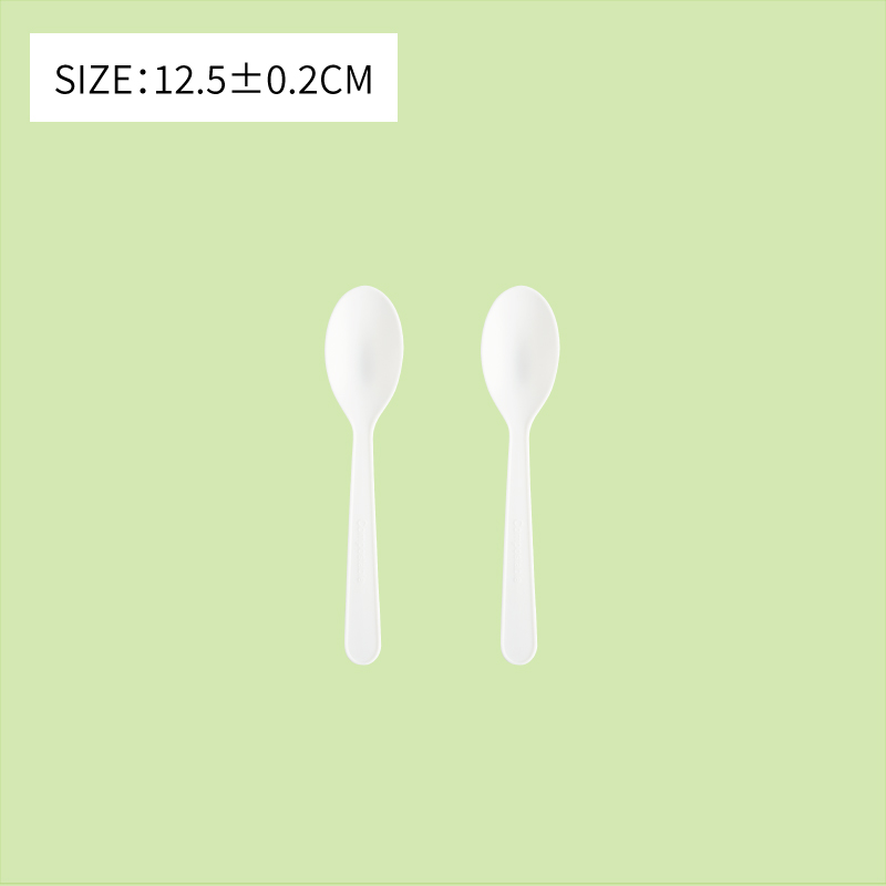 Disposable CPLA 5'' Dessert Spoon 12.5CM